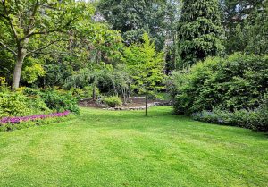 Optimiser l'expérience du jardin à Montfort-sur-Boulzane